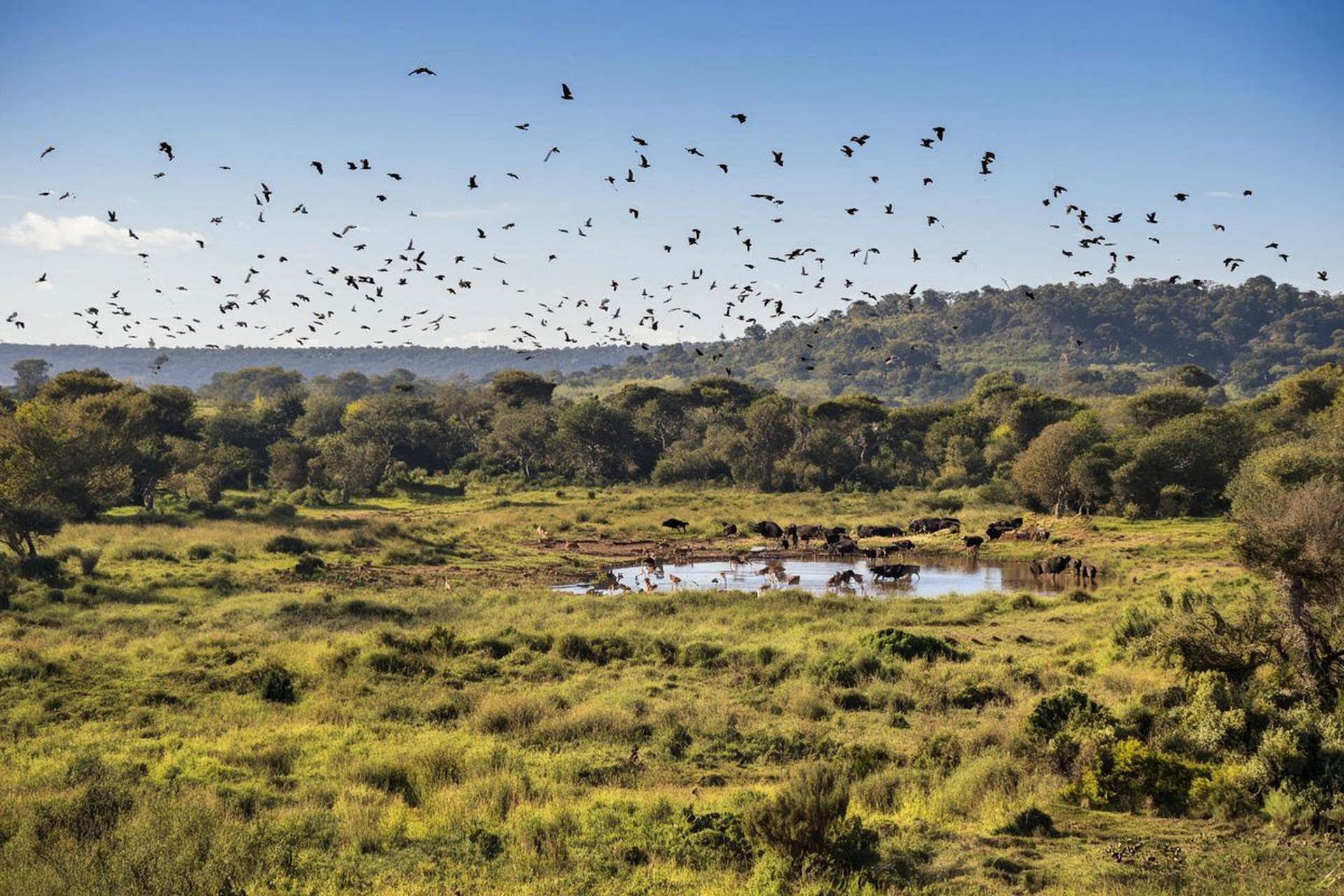 Laikipia conservancies