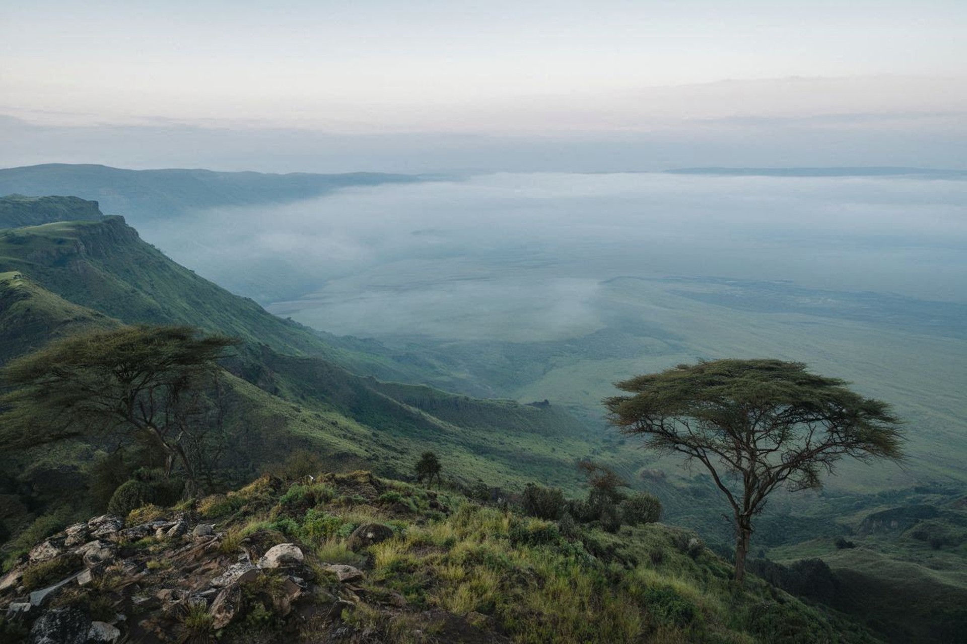 Ngorongoro Crater rim