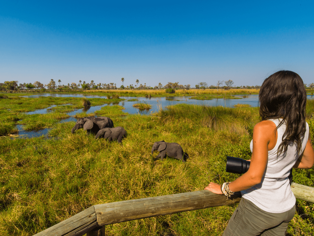 10 DAYS 9 Nights OKAVANGO DELTA AND CHOBE HIGHLIGHTS DURATION
