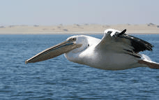 Package image