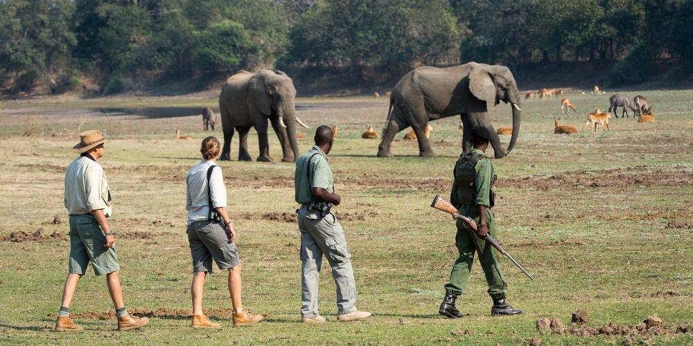MOBILE WALKING SAFARIS ZAMBIA 8 DAYS 7 NIGHTS