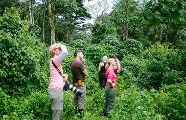 12 Day Ultimate Uganda Private Safari