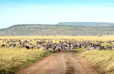 Central Serengeti Fly-in Safari