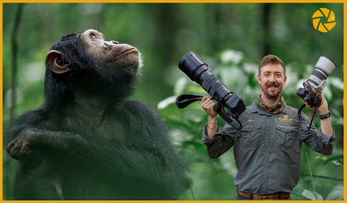 Chimpanzee and Gorilla Trekking in Uganda 9 Days 8 Nights
