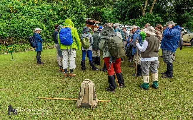 Chimpanzee and Gorilla Trekking in Uganda 9 Days 8 Nights