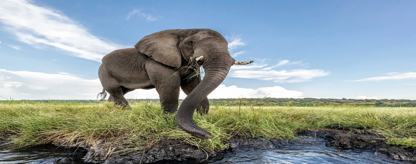 Chobe and Okavango Delta Photo Safari 8 Days 7 Nights