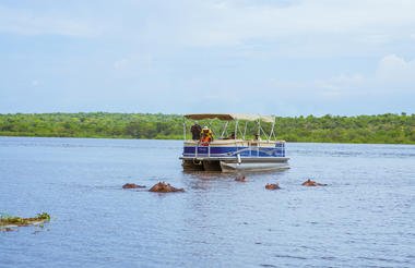 Gorillas Rhinos Chimps and the Nile 9 Day Scheduled Safari Uganda