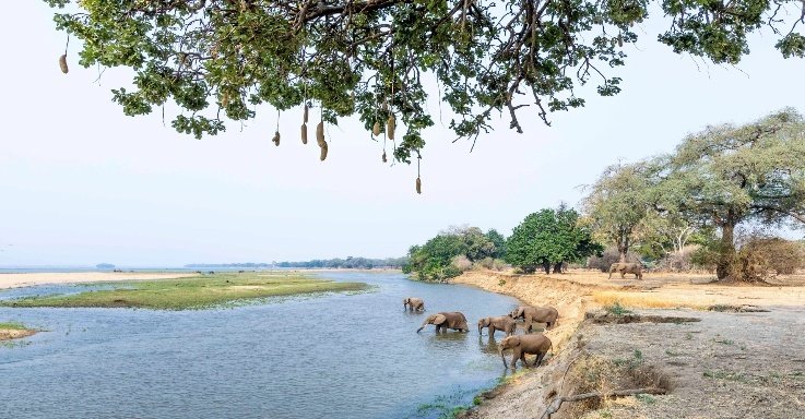 Hwange and Mana Pools Photo Safari 9 Days 8 Nights Zimbabwe