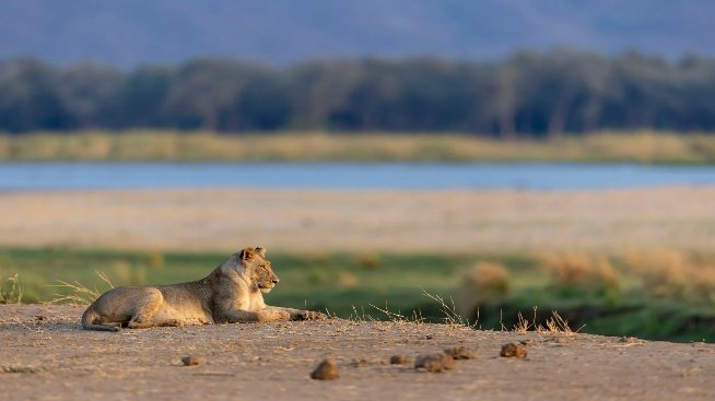 Hwange and Mana Pools Photo Safari 9 Days 8 Nights Zimbabwe