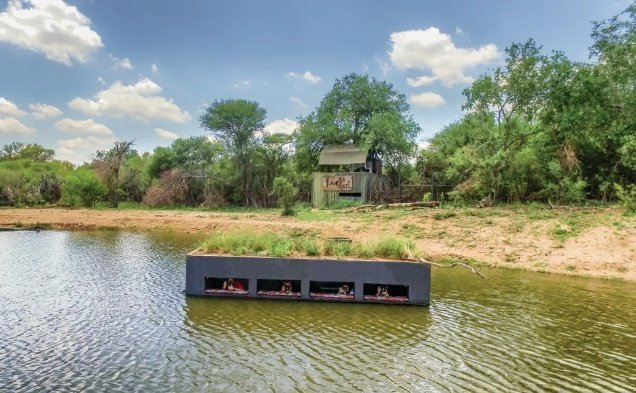 Madikwe Photo Safari 6 Days 5 Nights South Africa