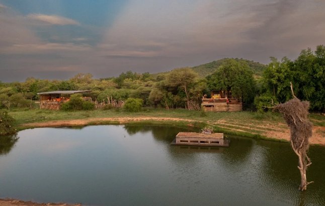 Madikwe Photo Safari 6 Days 5 Nights South Africa