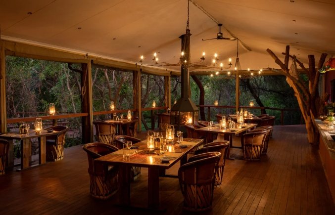 Madikwe Photo Safari 6 Days 5 Nights South Africa