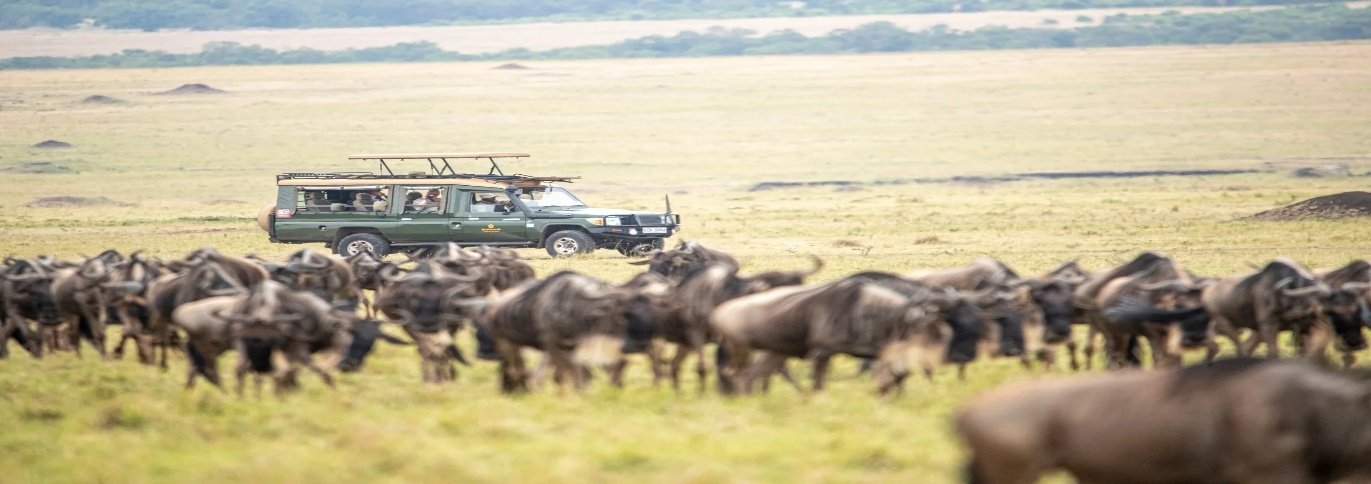 The Great Migration Photo Safari Kenya 8 Days 7 Nights