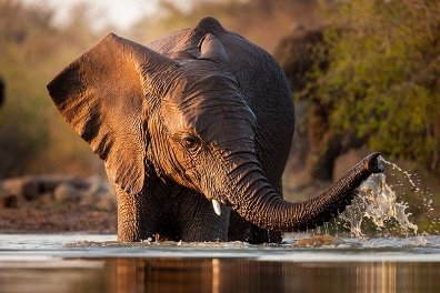 The Great Migration Photo Safari Kenya 8 Days 7 Nights
